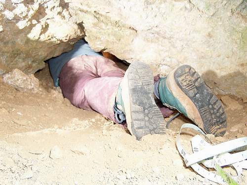 (c) Le Roux - Olivet